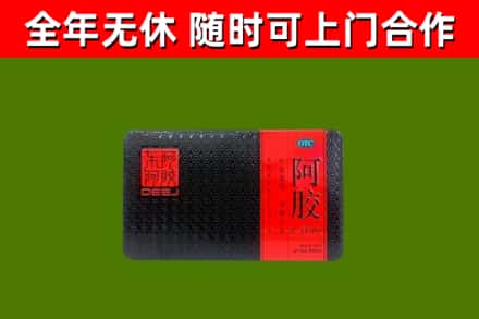 开平市回收阿胶