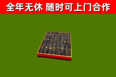 开平市回收海参